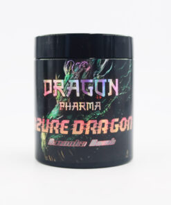 AZURE DRAGON